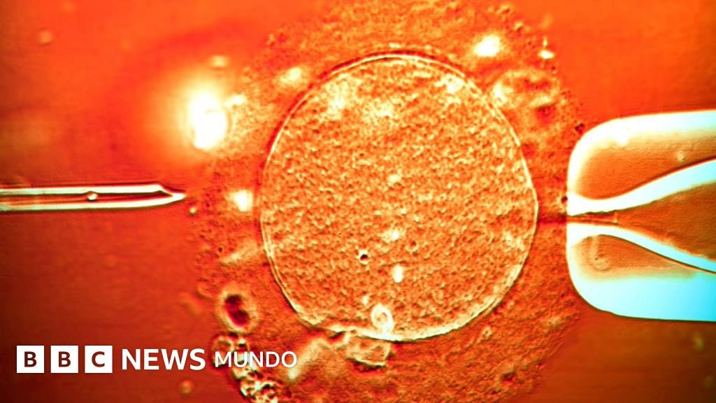 Donante con gen cancerígeno contribuyó a la concepción de casi 200 niños: "Varios han desarrollado tumores y algunos ya han fallecido"