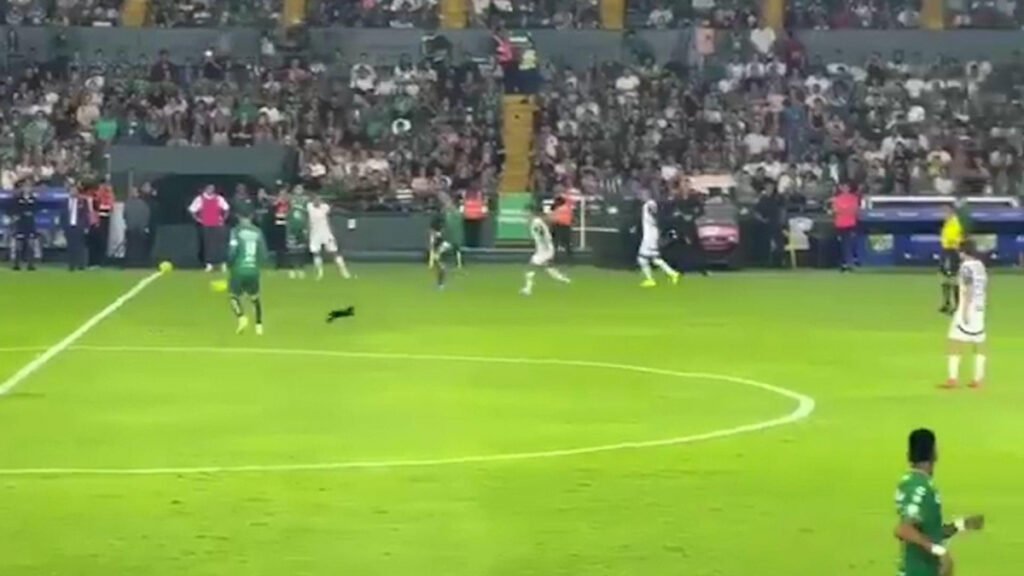 Un gato negro interfiere: James Rodríguez es despedido y Sergio Ramos sufre una lesión