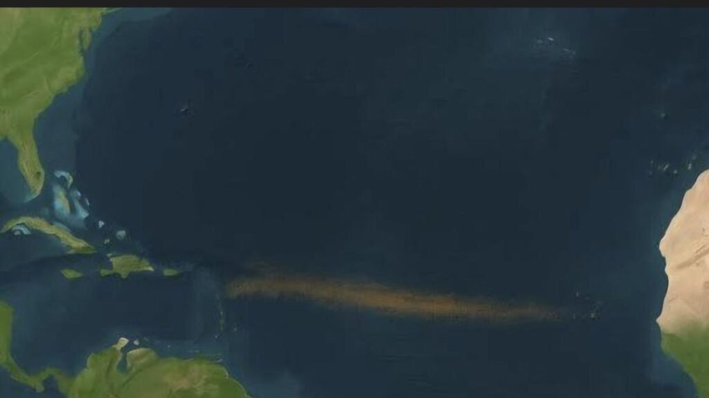 Alertan sobre la llegada récord de sargazo a las playas de México