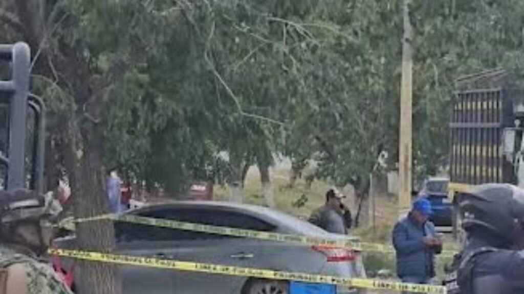 Tres compradores de naranjas son asesinados en Álamo, Veracruz