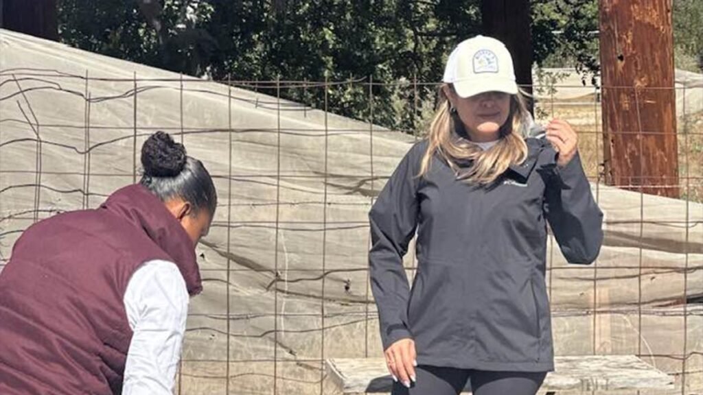 Exdirectora del INVI en BCS enfrentará juicio por presunto desfalco