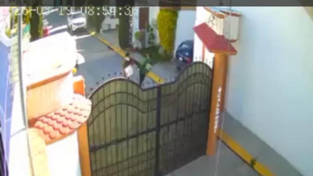 Joven con autismo agredido brutalmente por un sujeto debido al ladrido de sus perros