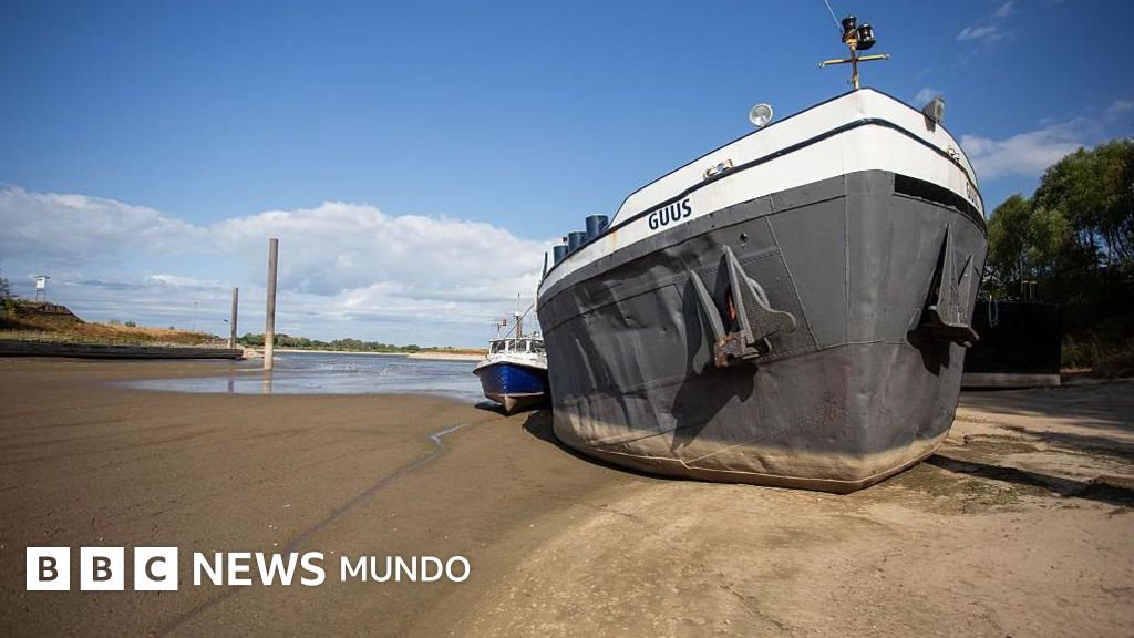 La sequía sin precedentes que azota el Rin y el Danubio, los ríos más importantes de Europa, y su riesgo económico y energético