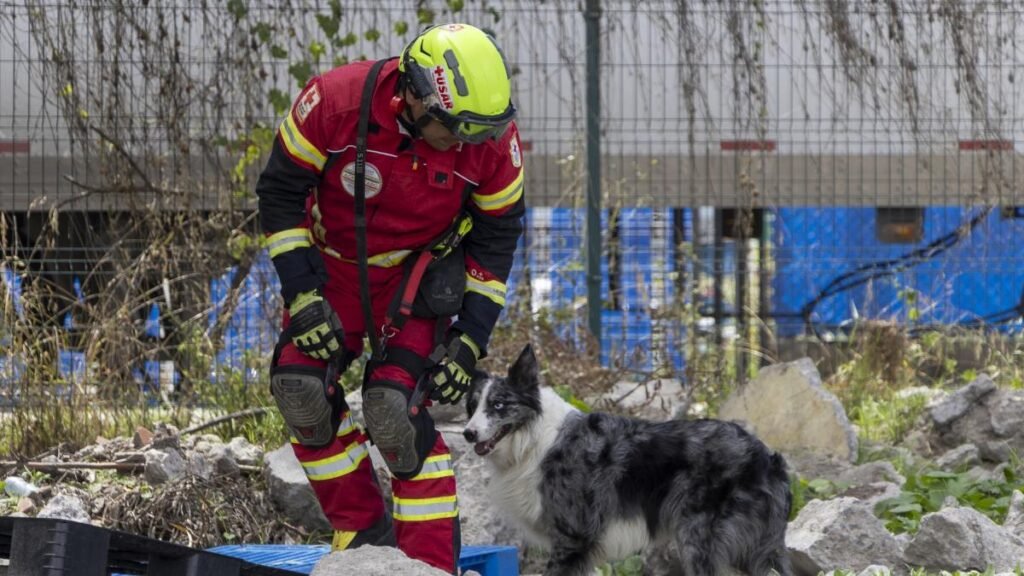 La Cruz Roja certifica 16 equipos de perros para misiones de búsqueda y rescate